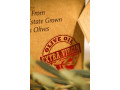 750ml-premium-edition-extra-virgin-olive-oil-evoo-small-2