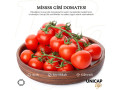 tomato-small-0