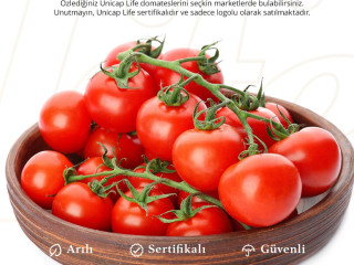 Tomato