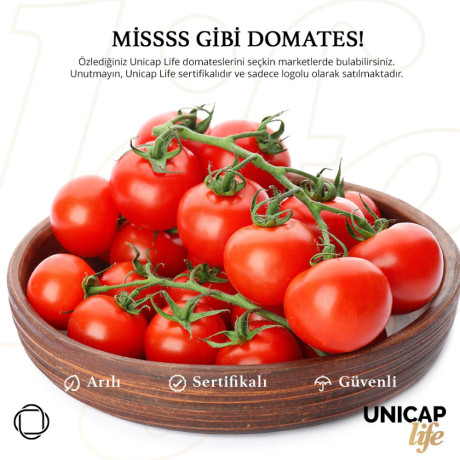 tomato-big-0